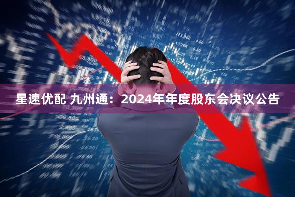 星速优配 九州通：2024年年度股东会决议公告