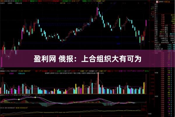 盈利网 俄报：上合组织大有可为